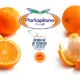 welcome-bg-parlapianofruit3